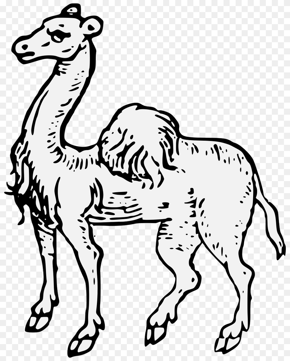 Camel, Stencil, Person, Animal, Mammal Free Transparent Png