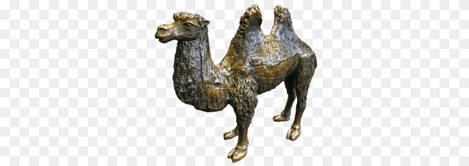 Camel Animal, Mammal, Horse Png Image