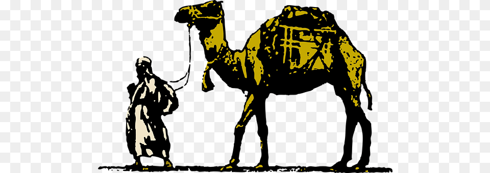 Camel Adult, Male, Man, Person Free Png