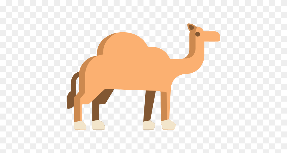 Camel, Animal, Mammal, Kangaroo Png