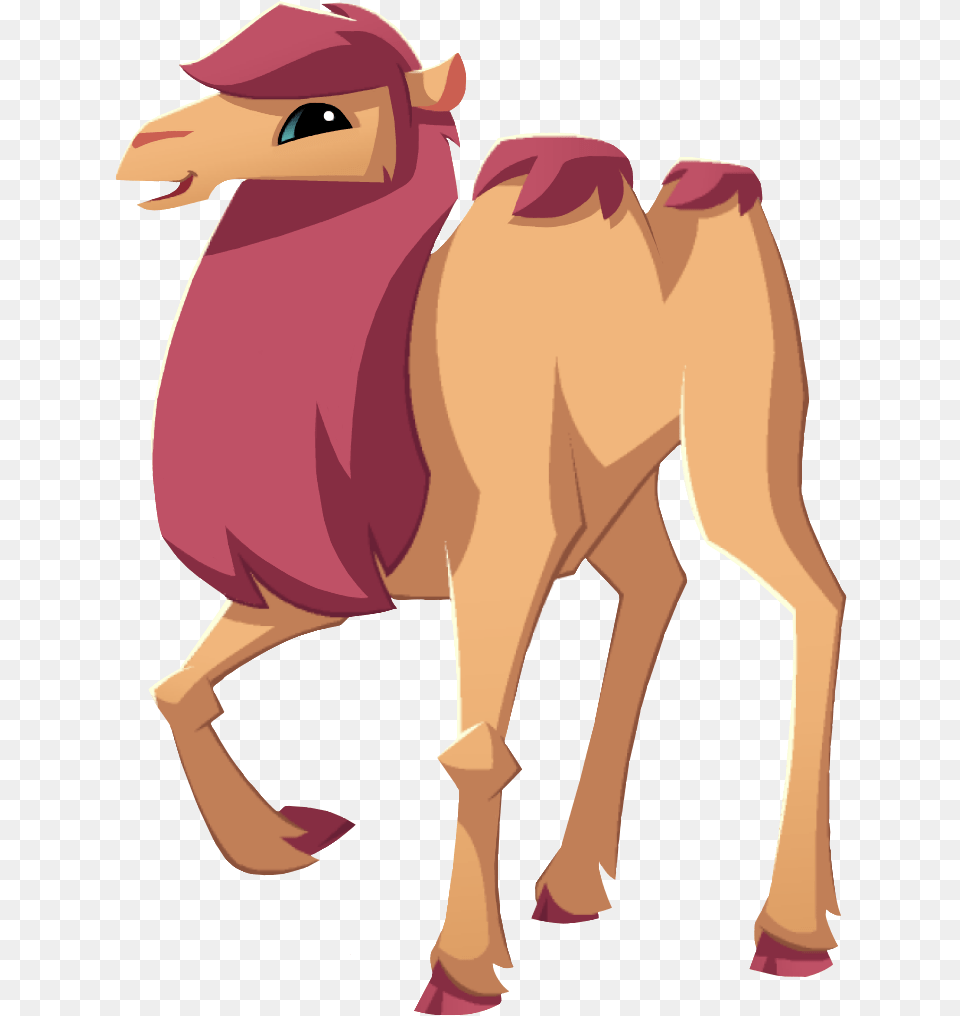 Camel, Animal, Mammal, Adult, Female Free Png Download