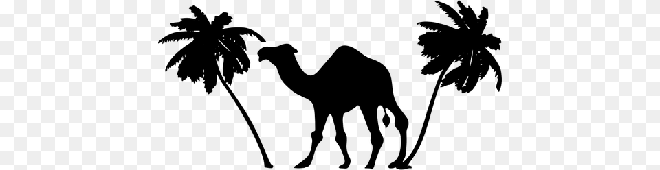 Camel And Palm Trees, Gray Free Transparent Png