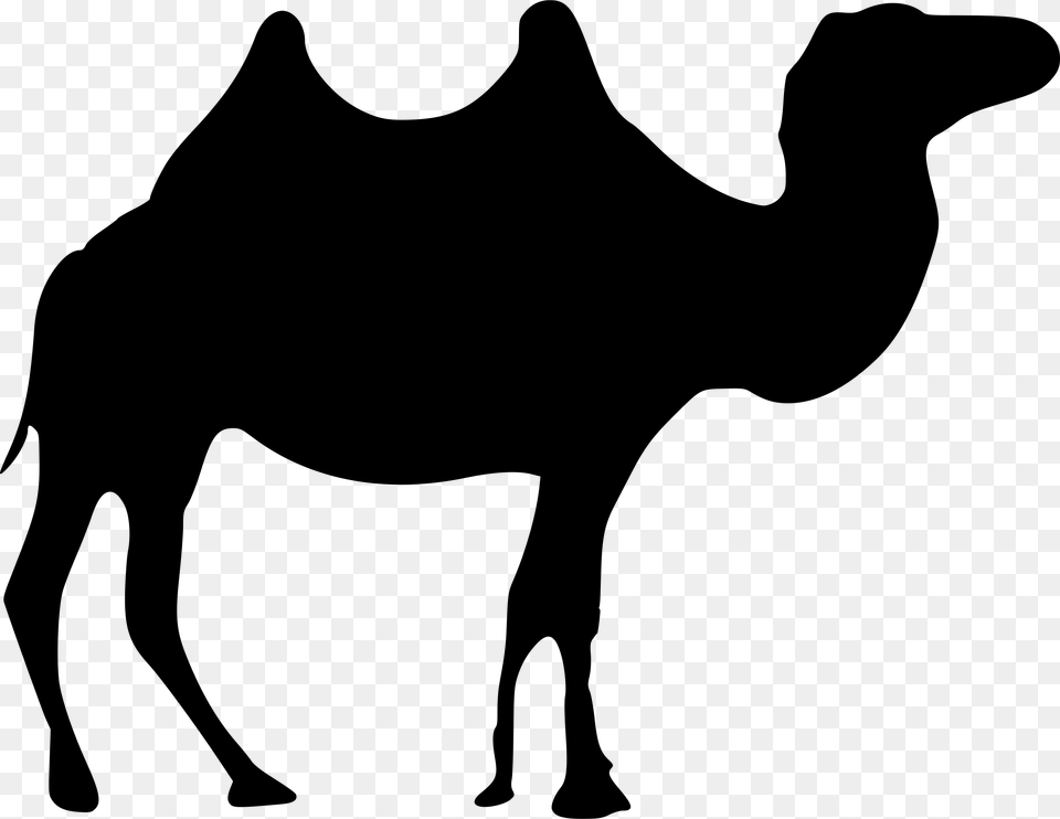Camel Black And White Camel Black And White, Gray Png Image