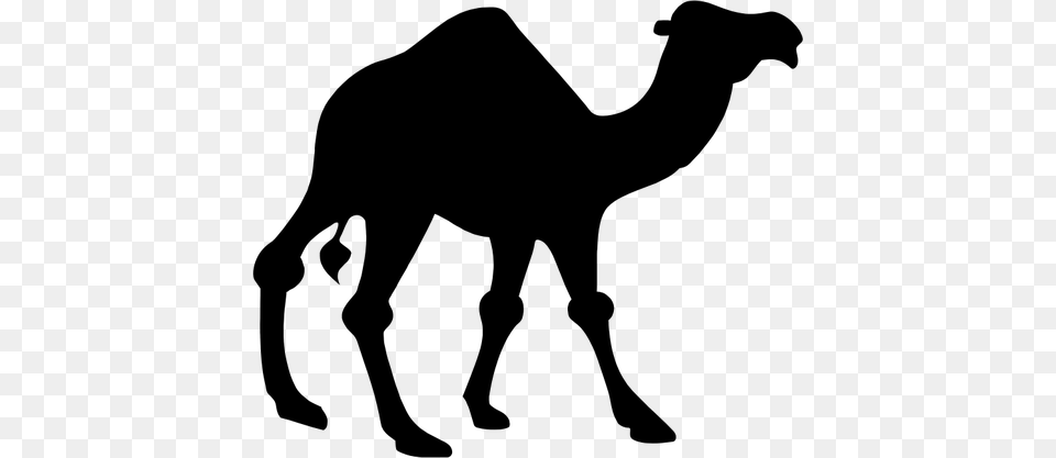 Camel Black Vector Silhouette Clip Art Camel, Gray Png Image