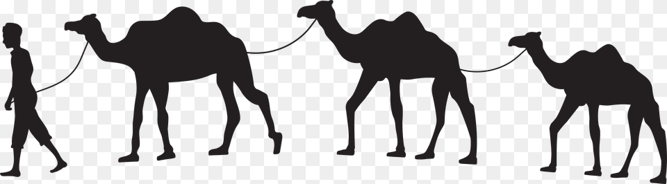 Camel Caravan Clip Art Camel Caravan, Animal, Mammal, Person, Horse Free Transparent Png