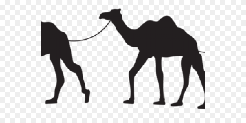 Camel Caravan Clipart Clip Art Stock Illustrations, Animal, Mammal, Person Free Png Download