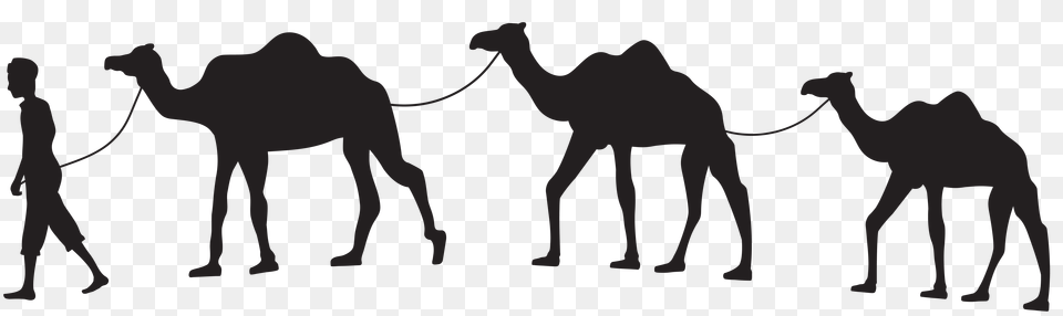 Camel Caravan Silhouette Clip, Gray Free Png
