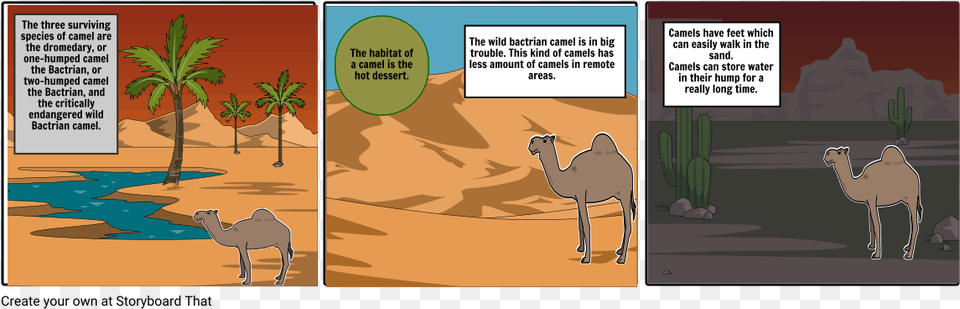 Camel Cartoon, Book, Comics, Publication Free Png Download