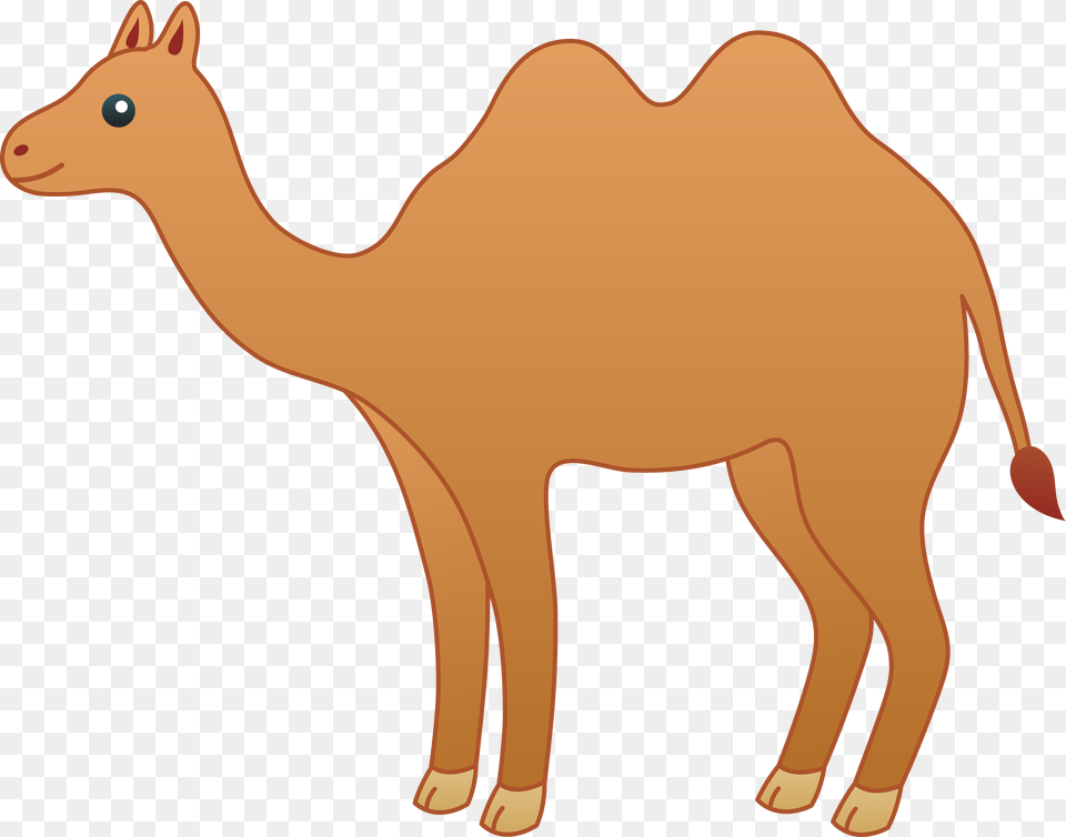 Camel Cartoon Clipart, Animal, Mammal, Kangaroo Png