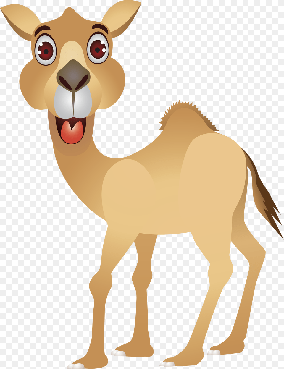 Camel Cartoon Humour Clip Art Cartoon Camel Images, Animal, Mammal, Kangaroo Free Transparent Png