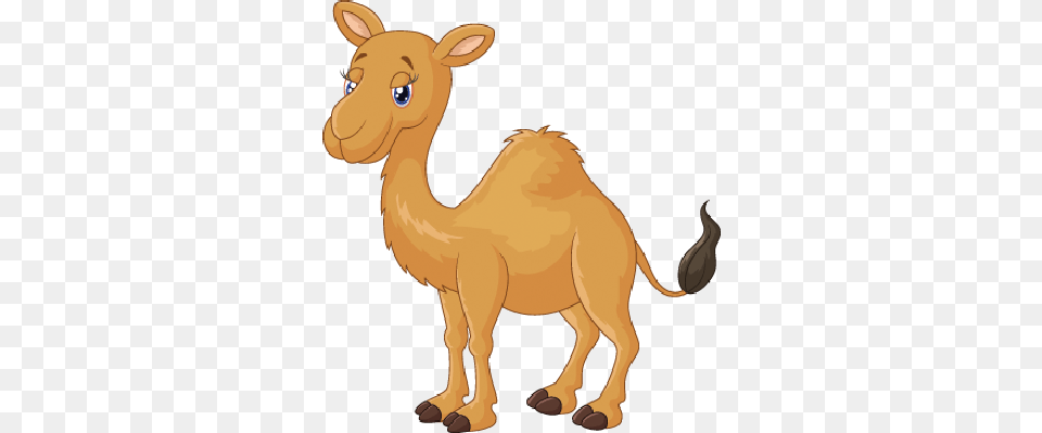 Camel Cartoon Transparent Camel Cartoon Images, Animal, Mammal, Canine, Dog Free Png