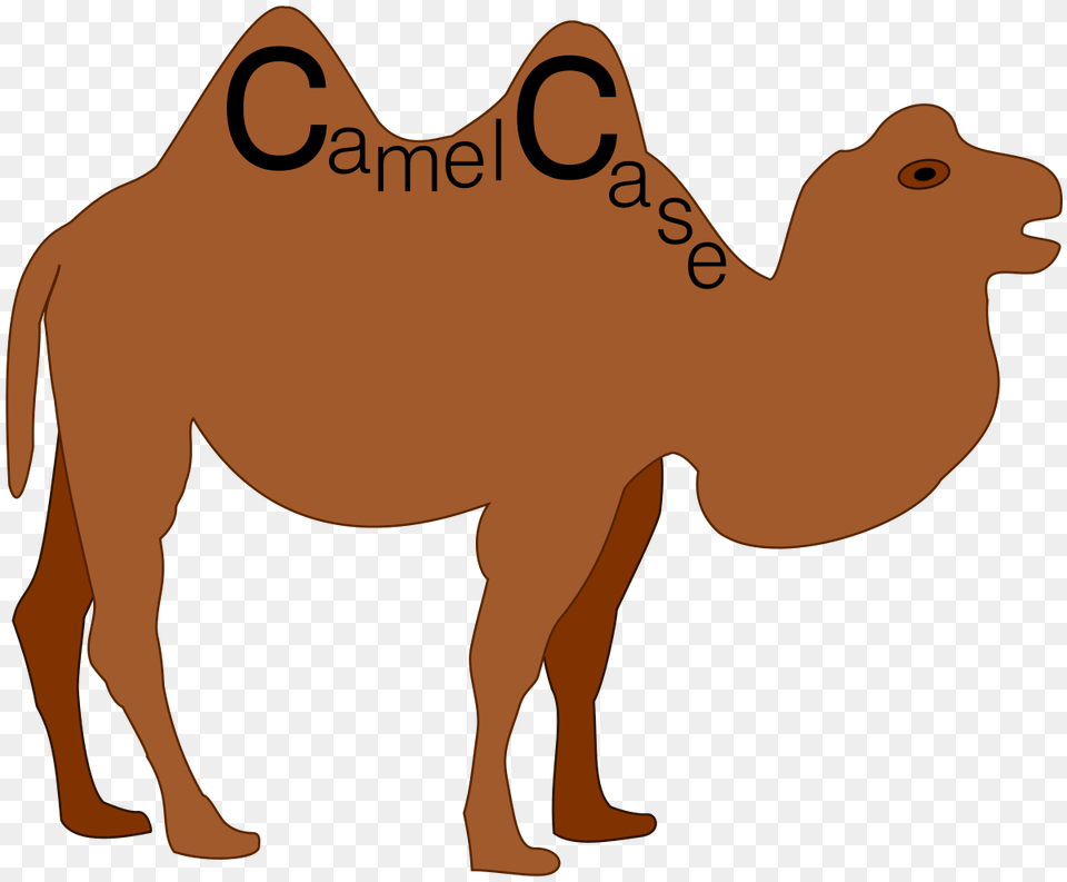 Camel Case, Animal, Mammal Free Transparent Png