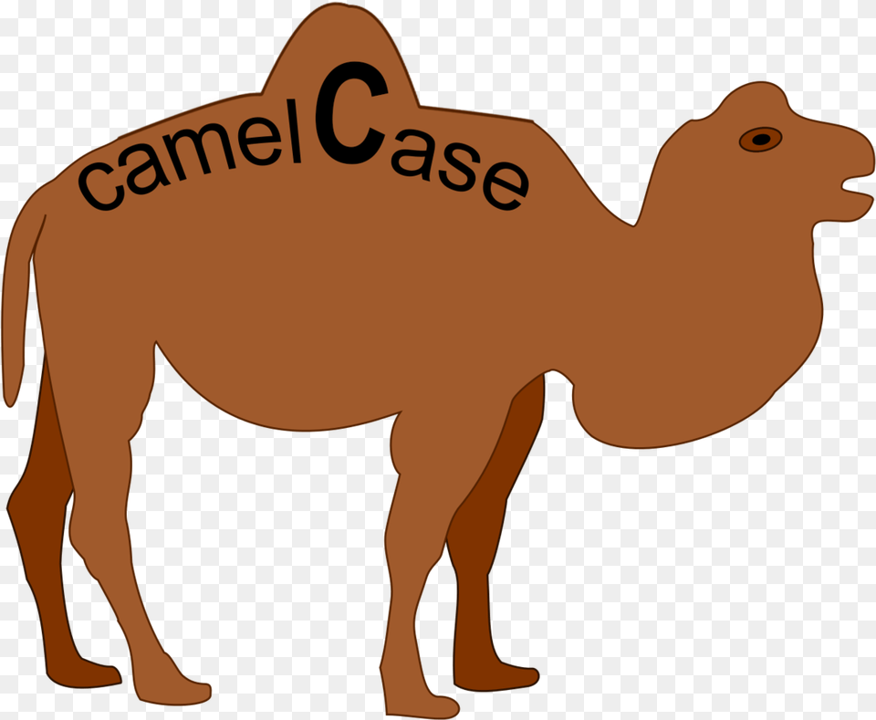 Camel Case Camel Case Examples, Animal, Mammal, Dinosaur, Reptile Png