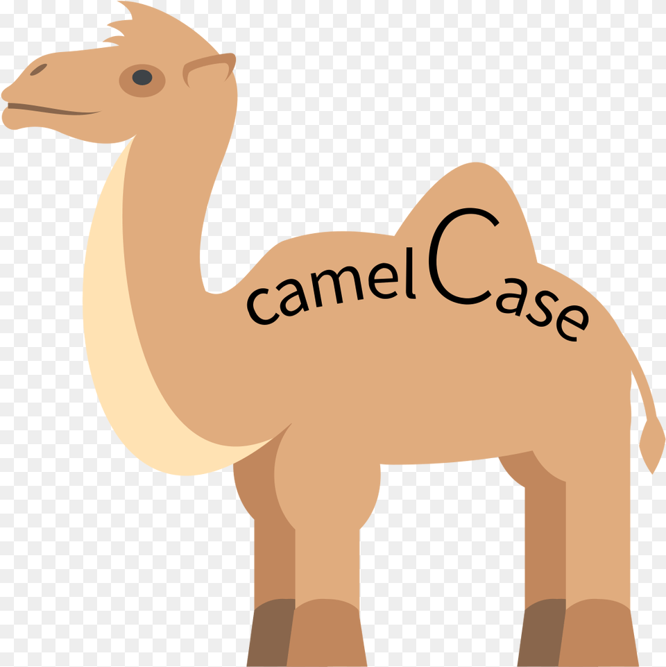 Camel Case In Programming, Animal, Mammal, Kangaroo Free Png