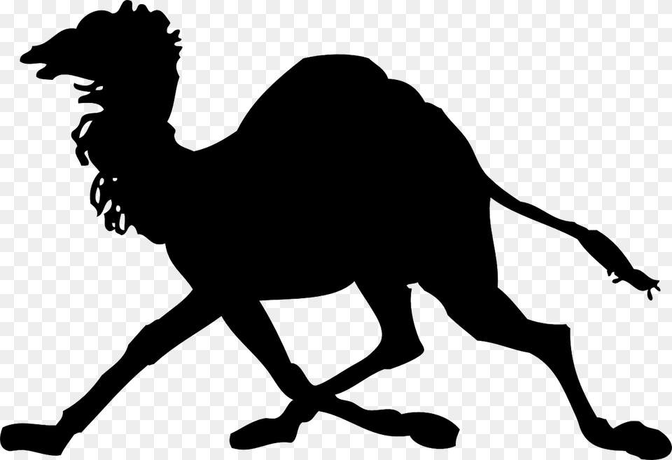 Camel Clip Art, Animal, Mammal, Silhouette, Kangaroo Png Image