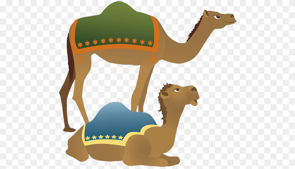 Camel Clip Art, Animal, Mammal, Kangaroo Free Png Download