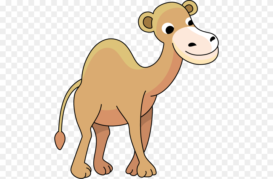 Camel Clip Art, Animal, Mammal, Bear, Wildlife Png