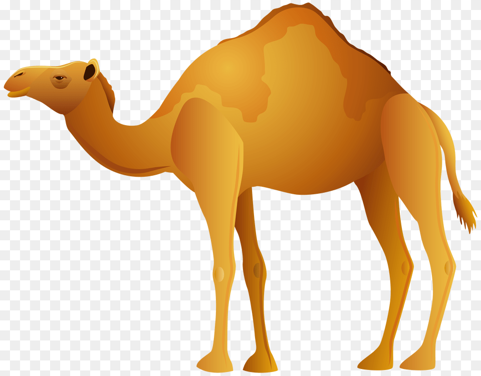 Camel Clip Art, Animal, Mammal, Crib, Furniture Png Image