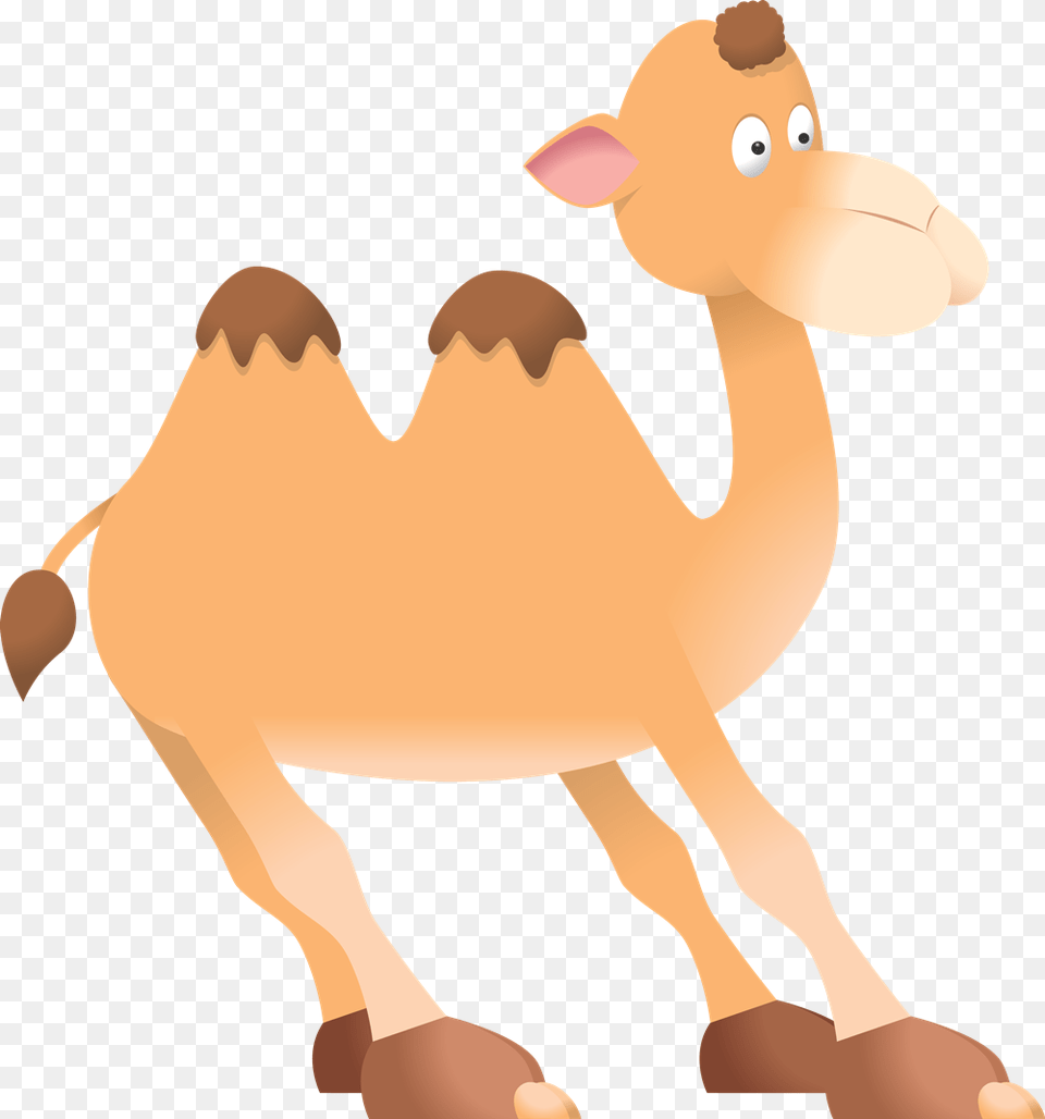 Camel Clip Art At Vector 2 Image Essay On Camel In English, Animal, Mammal, Baby, Person Png