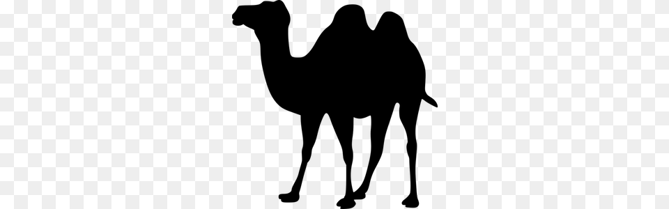 Camel Clip Art Gray Free Png