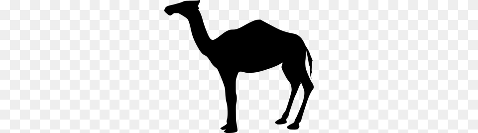 Camel Clip Art Free, Gray Png Image