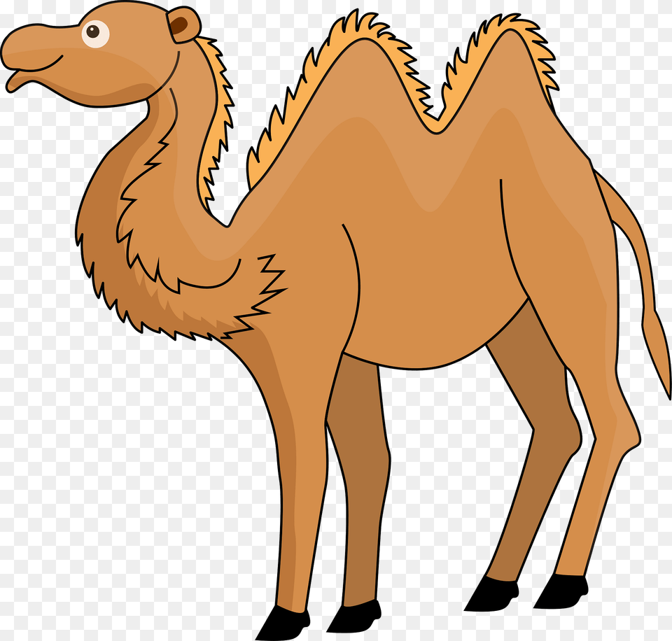 Camel Clipart, Animal, Mammal, Kangaroo, Clothing Png Image