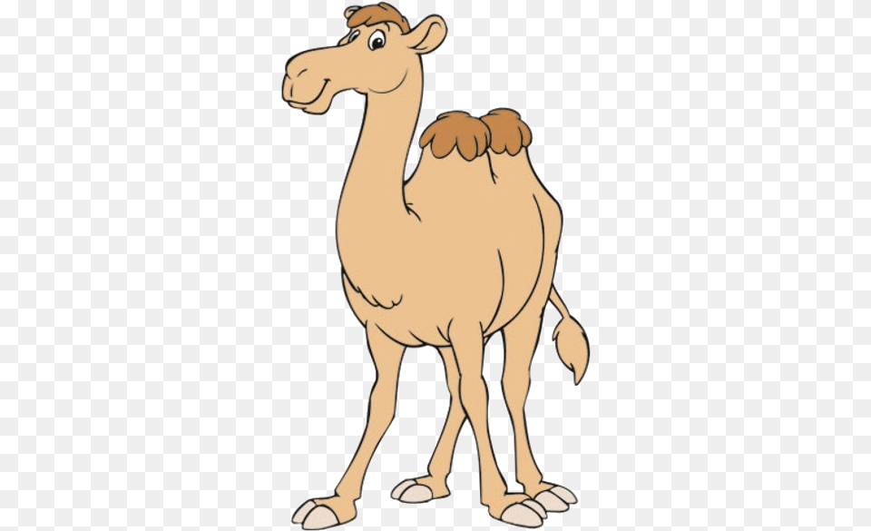 Camel Clipart, Animal, Mammal, Kangaroo Png