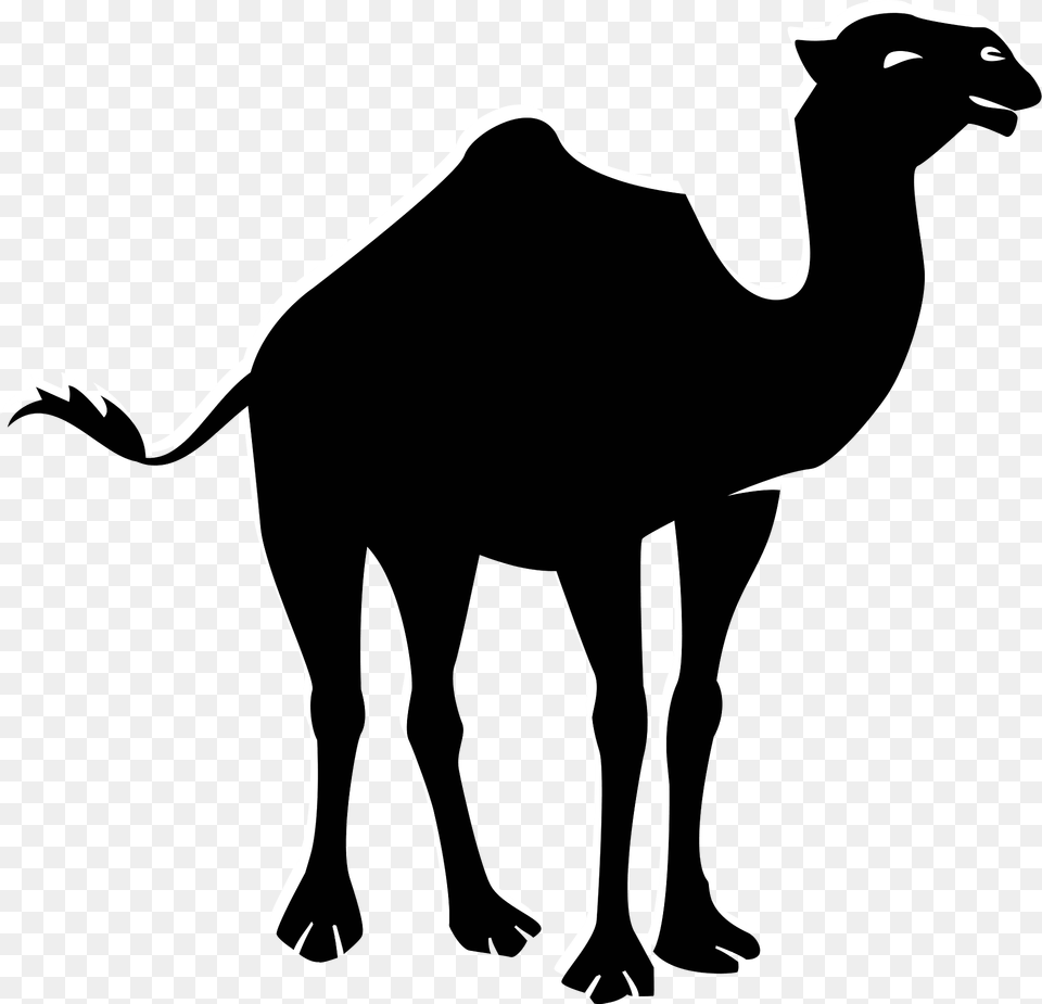 Camel Clipart, Animal, Mammal, Kangaroo Free Png Download