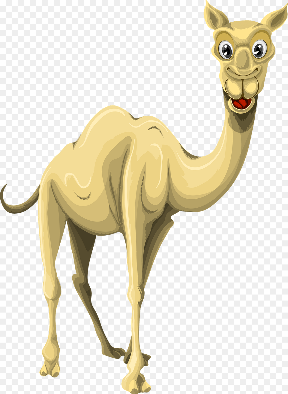 Camel Clipart, Animal, Mammal, Kangaroo Free Transparent Png