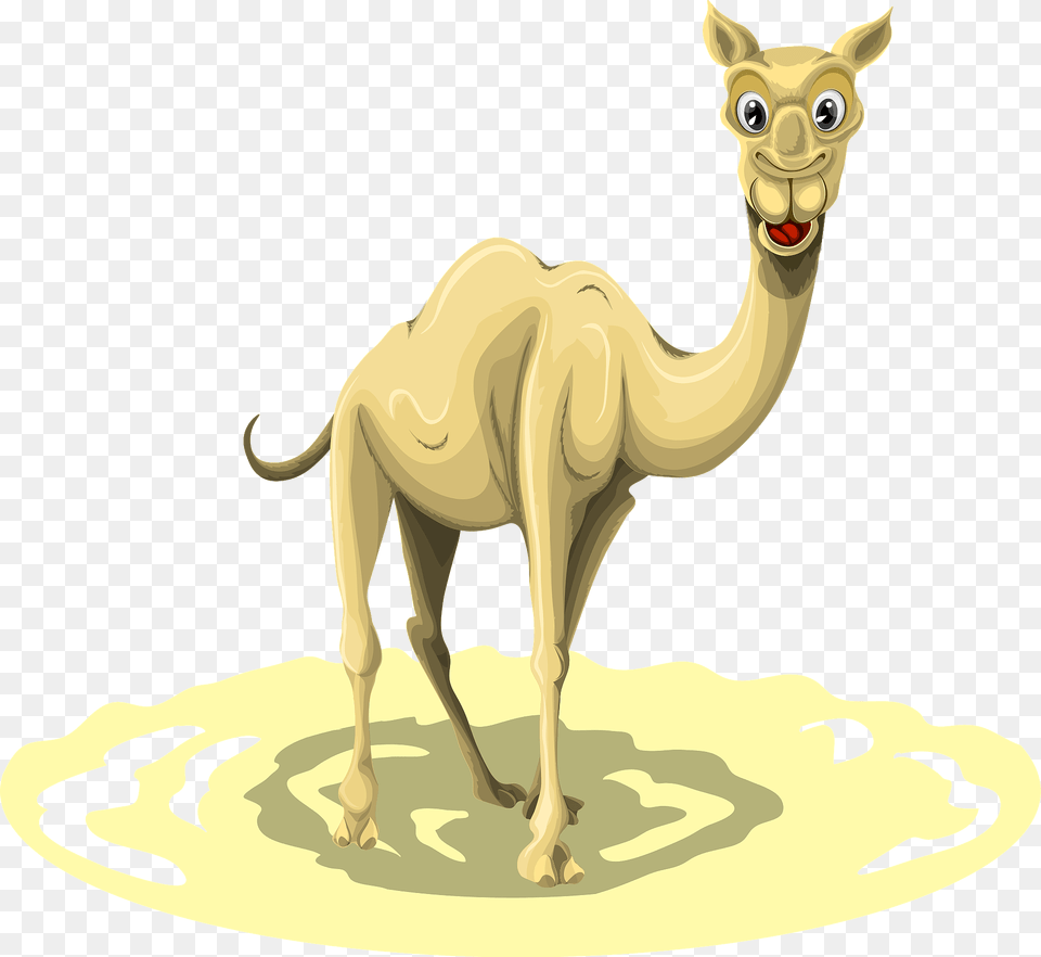 Camel Clipart, Animal, Mammal, Kangaroo Free Transparent Png