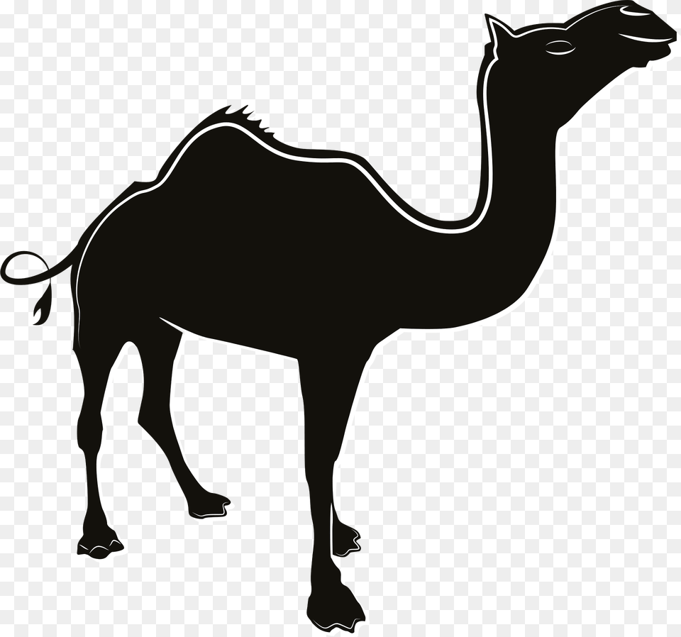 Camel Clipart, Animal, Mammal, Kangaroo Free Png