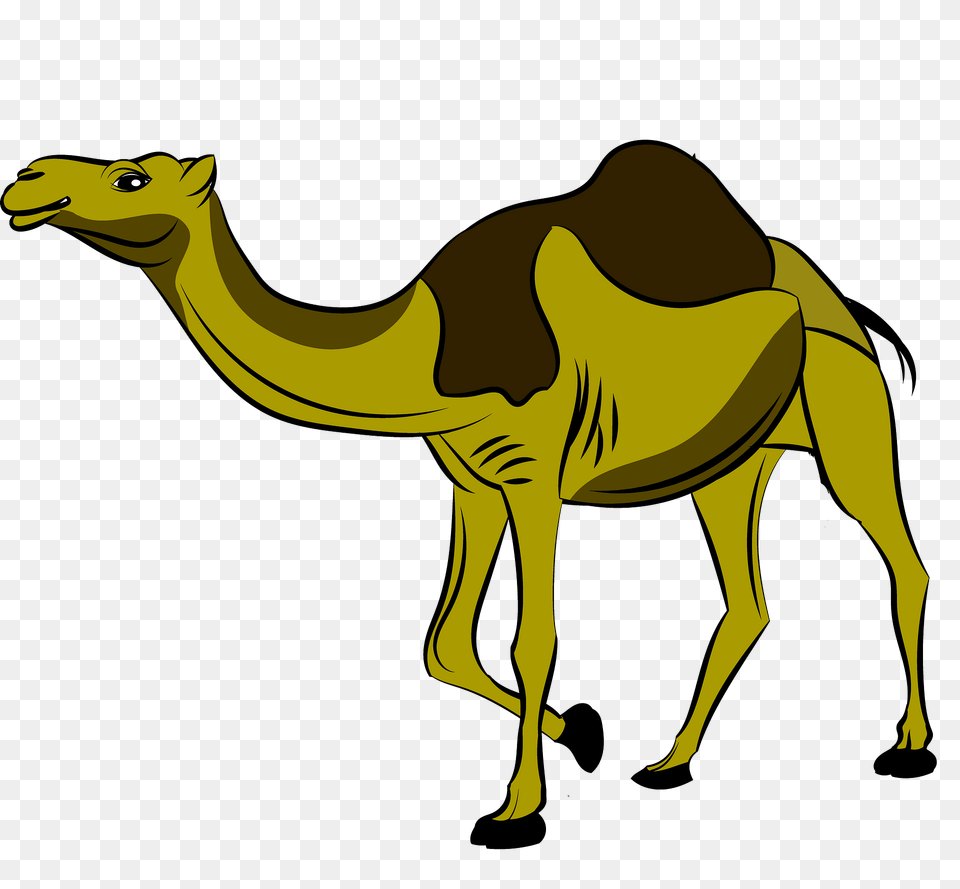 Camel Clipart, Animal, Mammal, Kangaroo Png Image