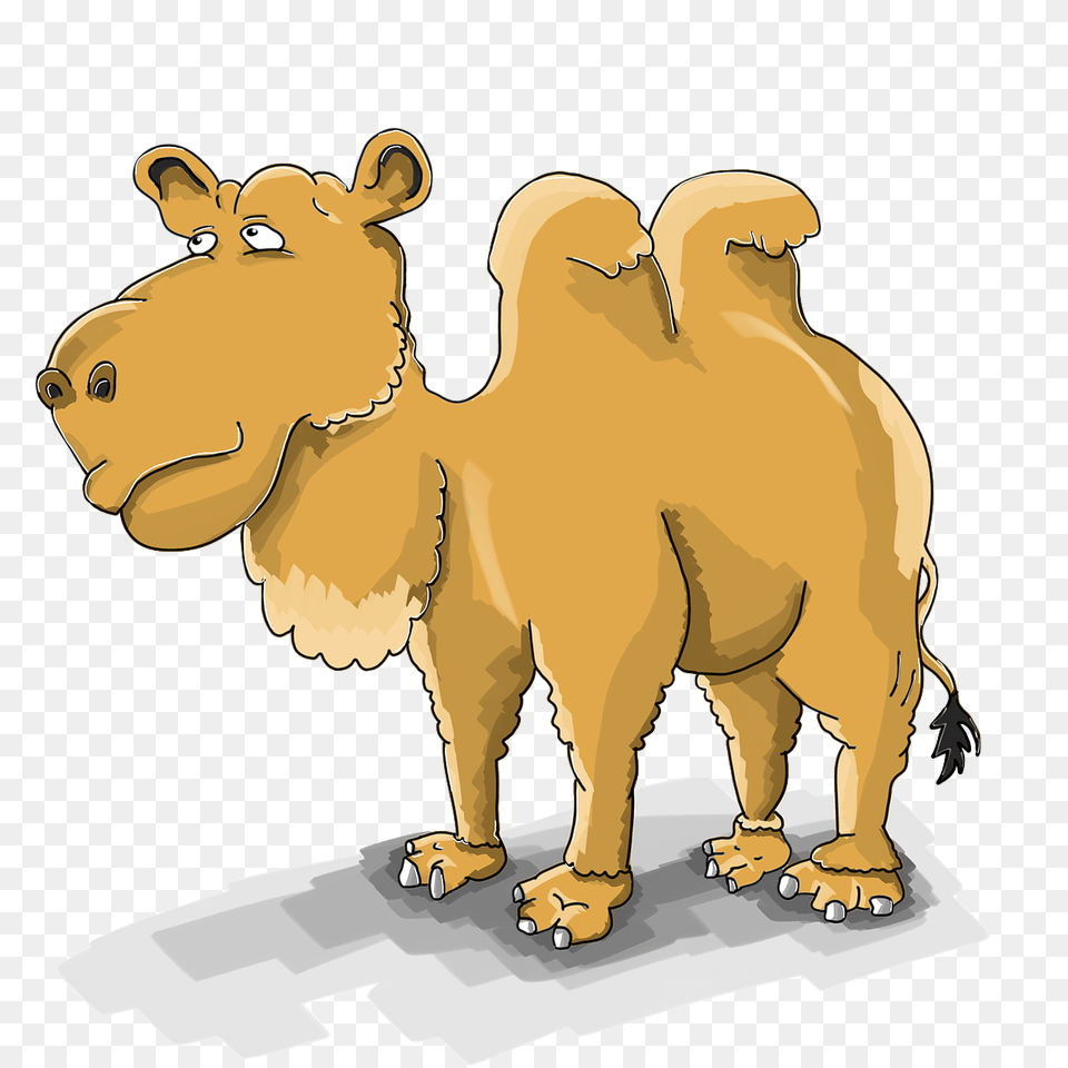 Camel Clipart, Animal, Mammal, Adult, Lion Png