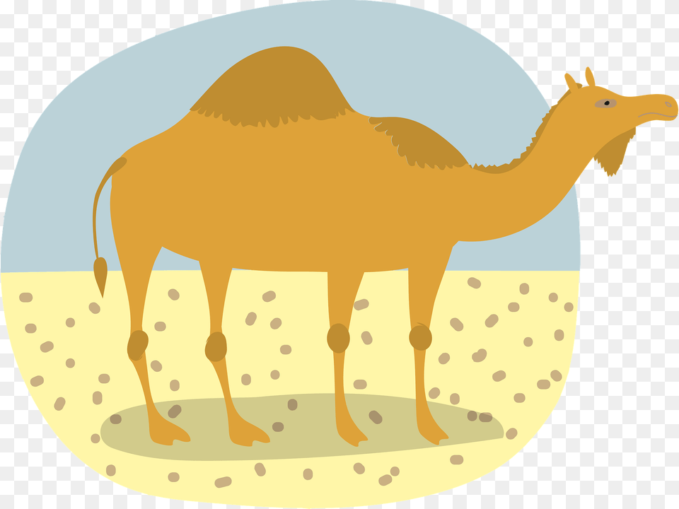 Camel Clipart, Animal, Mammal Free Png Download