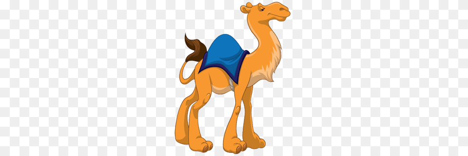 Camel Clipart Animal, Mammal, Kangaroo Free Transparent Png