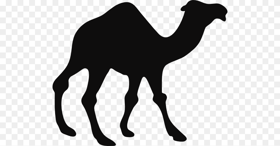 Camel Clipart Black And White, Animal, Mammal, Kangaroo Png