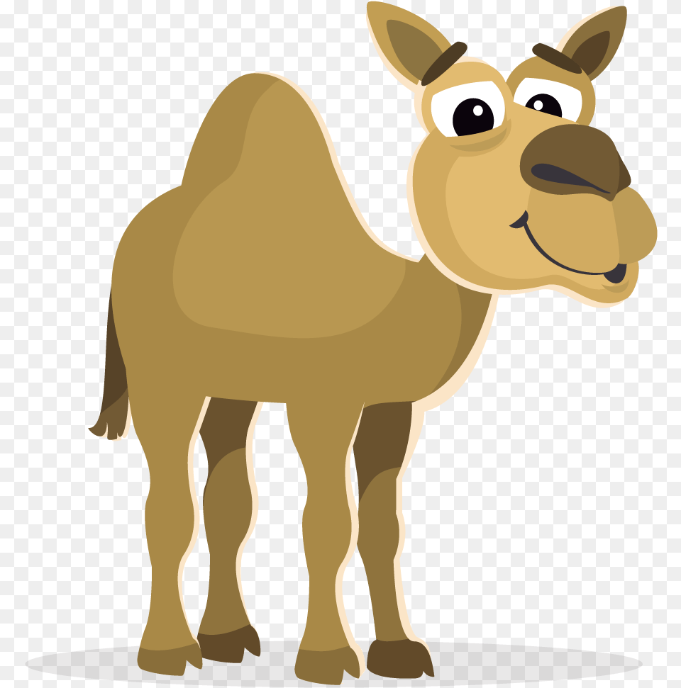Camel Clipart Cartoon Zoo Animals, Animal, Mammal, Kangaroo Free Png Download