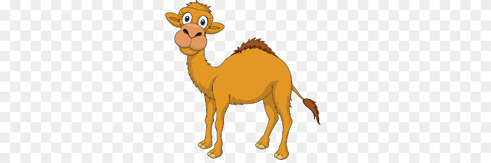 Camel Clipart Image, Animal, Mammal, Cattle, Cow Free Transparent Png