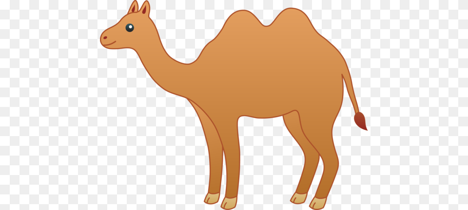Camel Clipart She, Animal, Mammal, Kangaroo Free Transparent Png