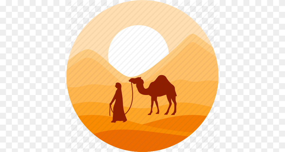 Camel Desert Dune Land Sahara Sand Sun Icon, Adult, Animal, Female, Mammal Png Image