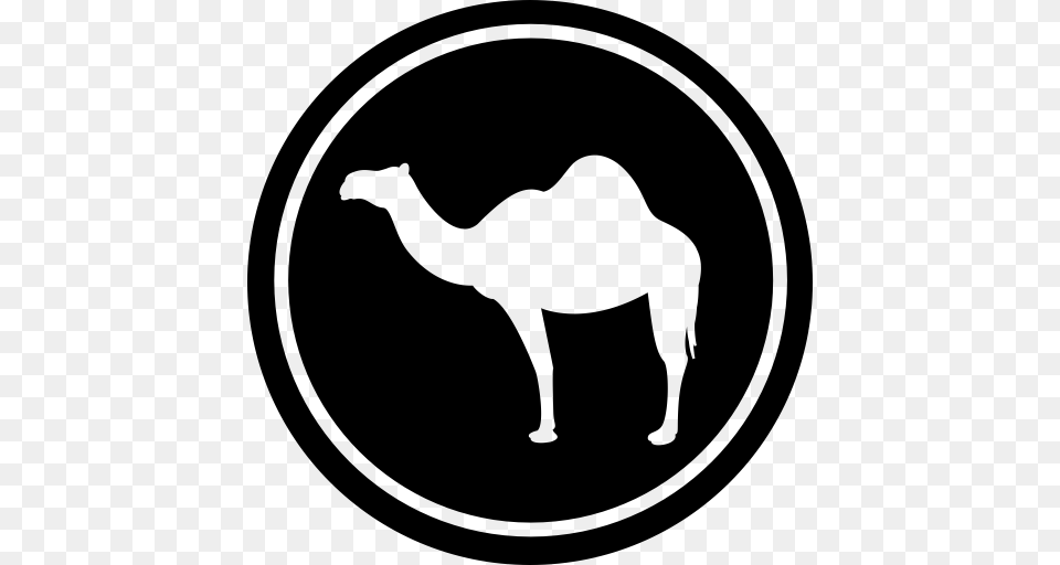 Camel Desert Hump Icon With And Vector Format For, Gray Png Image