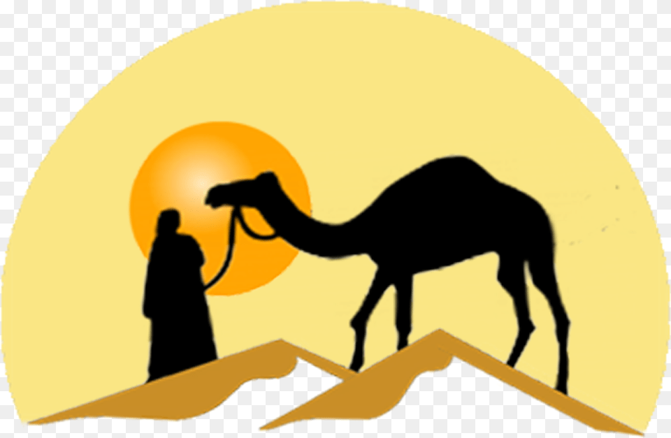 Camel Desert Transparent, Animal, Mammal, Adult, Female Free Png Download