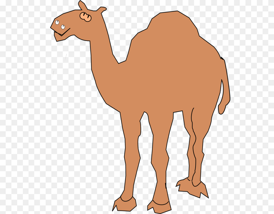 Camel Drawing Camera Silhouette, Animal, Mammal, Kangaroo Png
