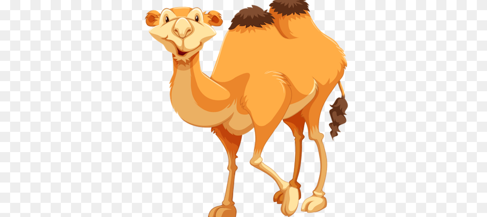 Camel Drawing Clip Art, Animal, Mammal, Person, Lion Png