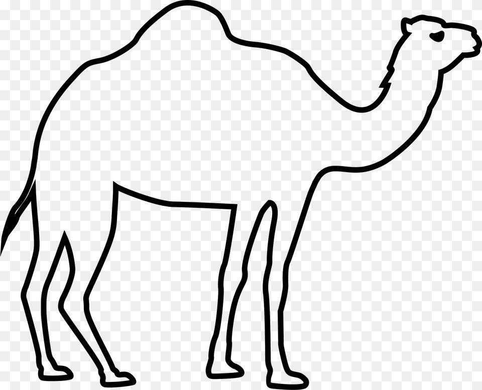 Camel Eid Al Fitr Eid Al Adha, Gray Free Transparent Png