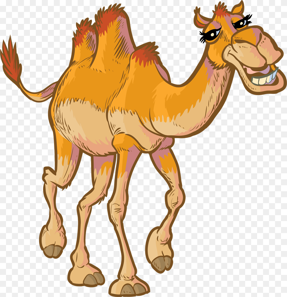 Camel Face Cartoon, Animal, Mammal Free Png Download