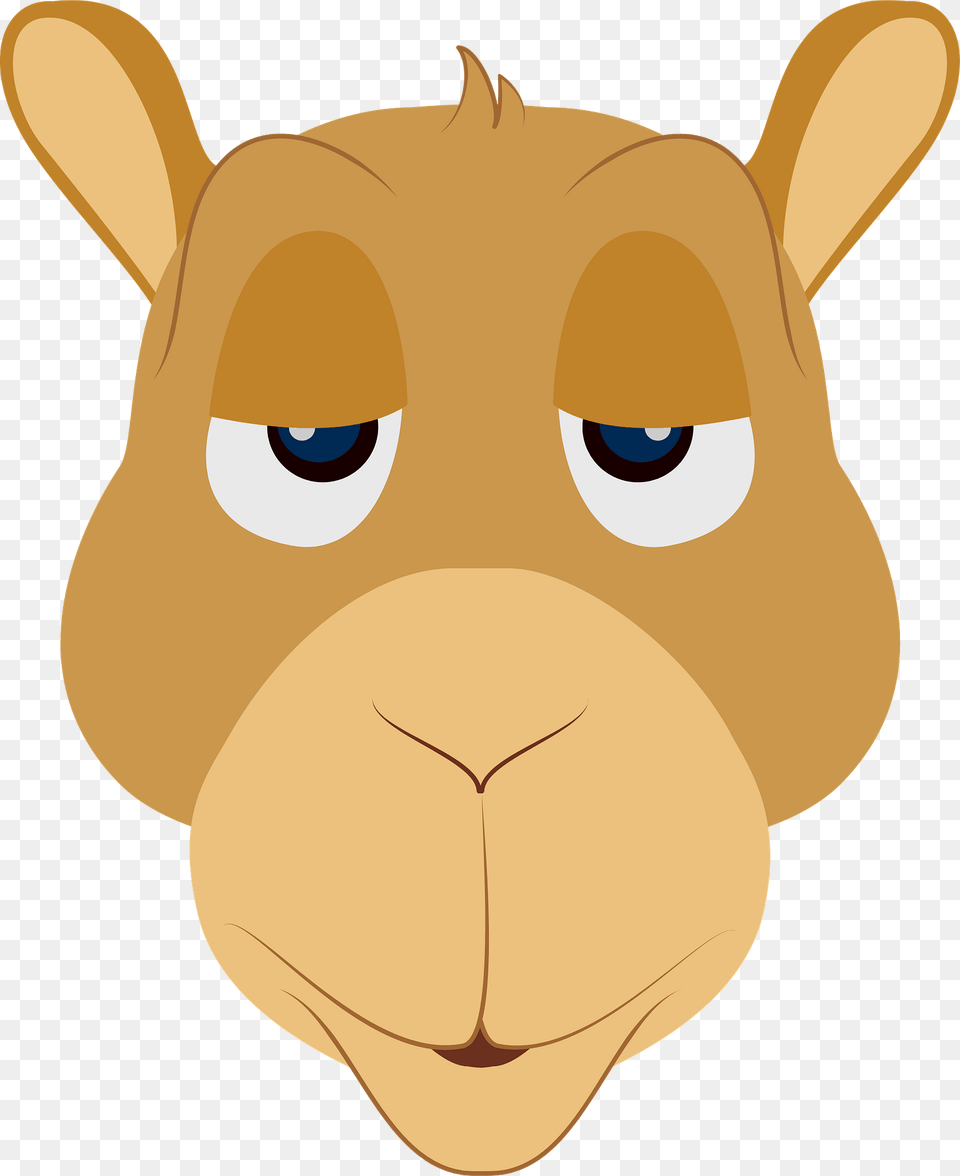 Camel Face Clipart, Snout Free Png Download