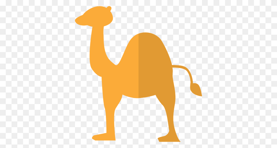 Camel Flat Dessert, Animal, Mammal, Kangaroo Png Image