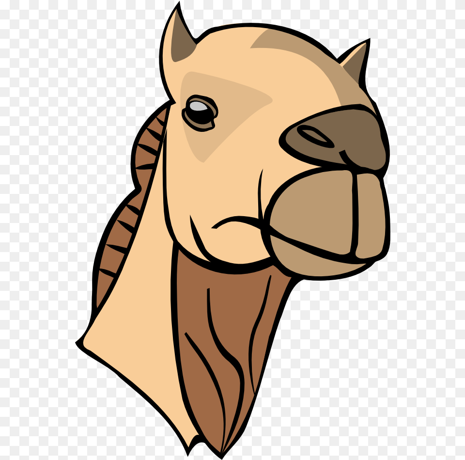Camel Head Camel Clipart Head, Person, Animal, Mammal Free Transparent Png