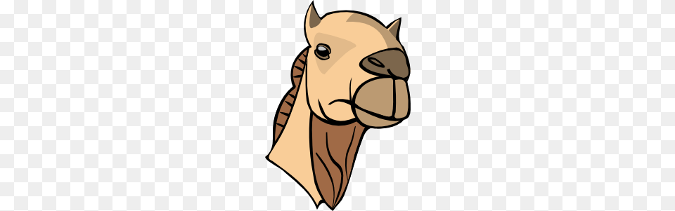 Camel Head Clip Art Vector, Animal, Mammal, Kangaroo Png Image